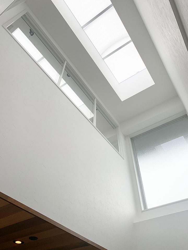 �T���l�C��01